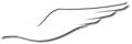 RedbirdLogo_Bird_White.png]